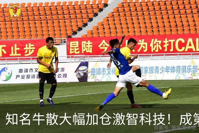 知名牛散大幅加仓激智科技！成第三大股东